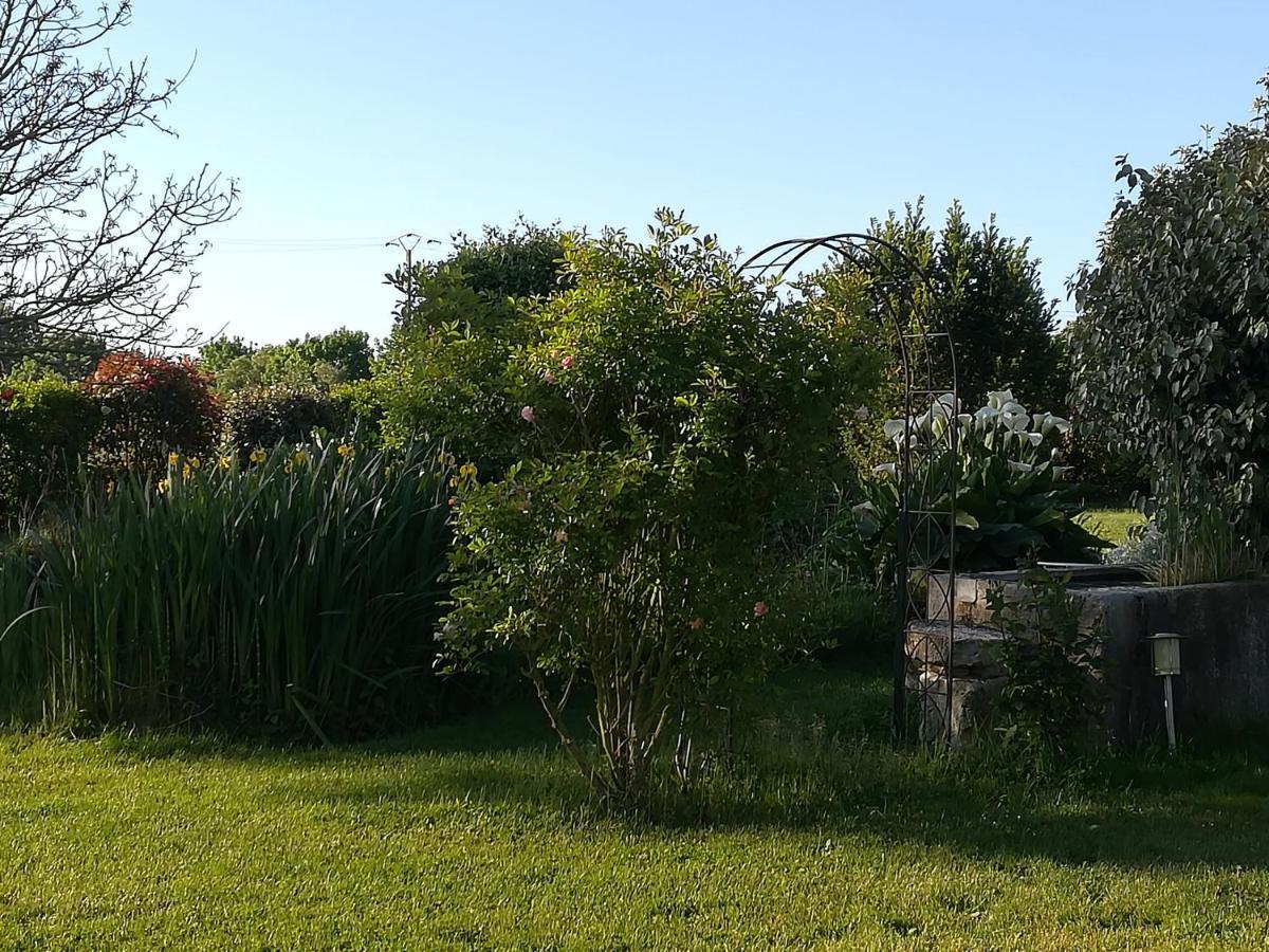 Bed and Breakfast La Cle Du Puy Cabariot Exterior foto